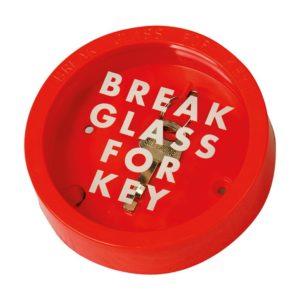 4776dc01-36ae-420c-95e3-23e690fe96c1_1000x1000-300x300